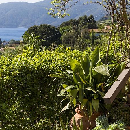 Villa Monserrato - Goelba Порт-Аццурро Экстерьер фото